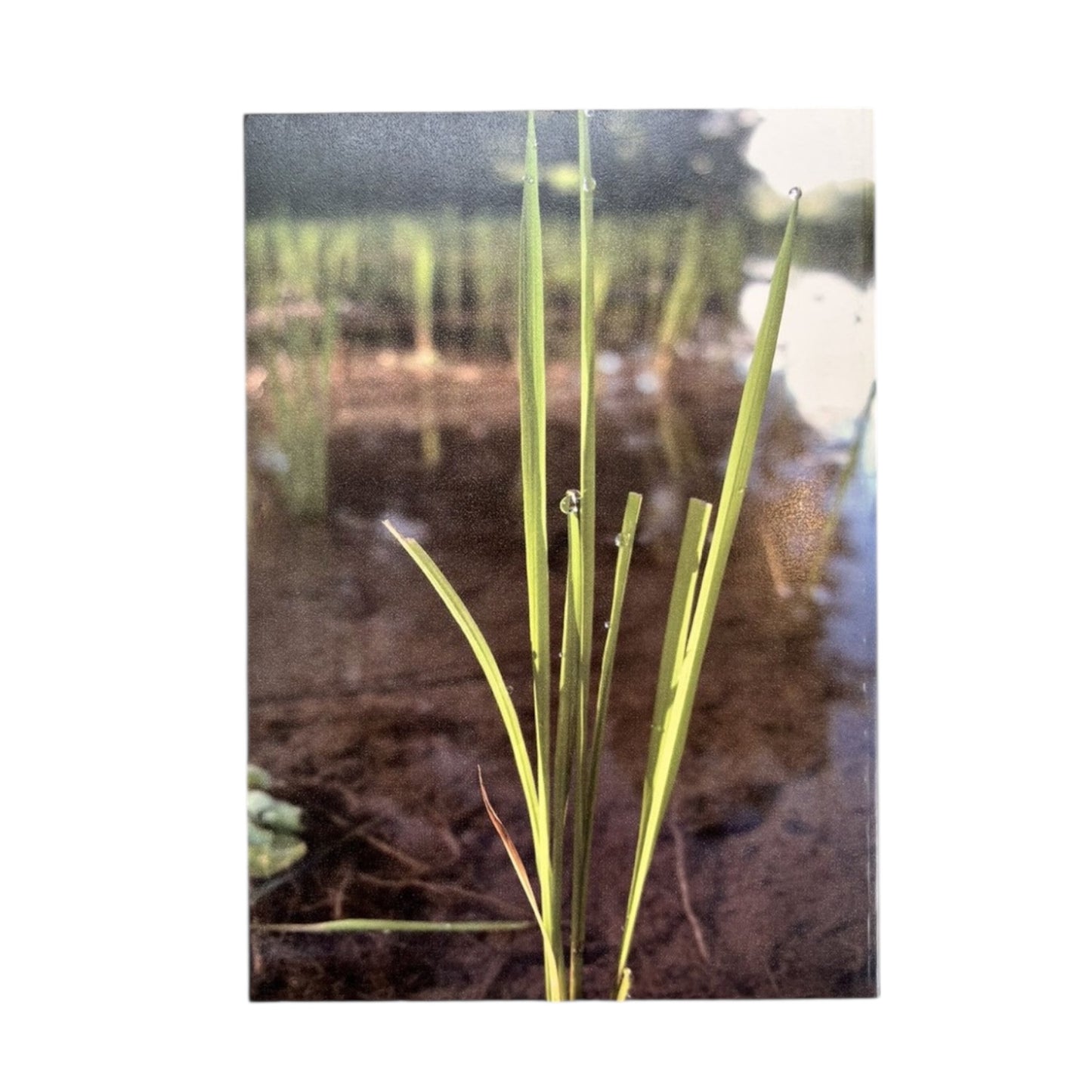 2010 Summer Kapital “Deniming For Sunken Treasure” Lookbook/Catalogue